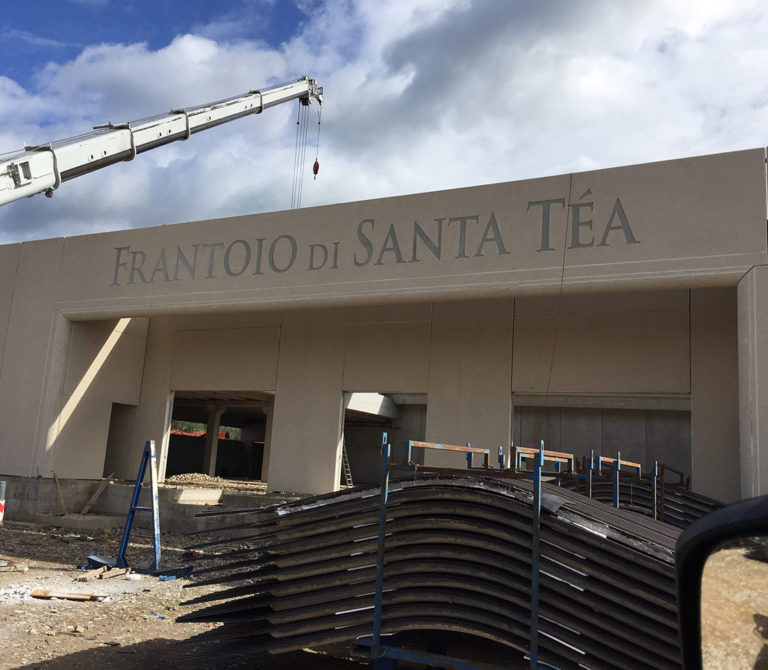 Frantoio Santa Tea